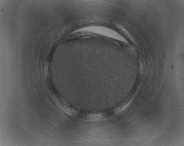 X0000078290213200612011817