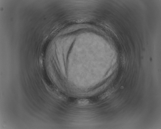 X0000078290214200612011817