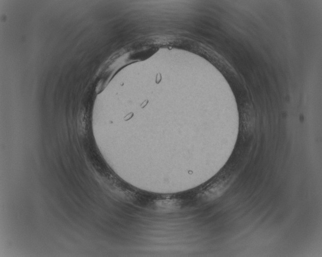 X0000078290216200612011817