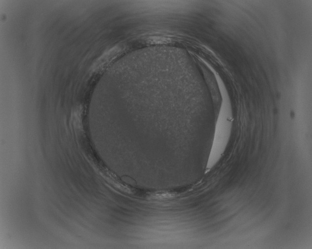 X0000078290217200612011817