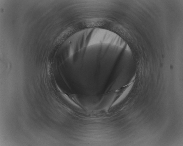 X0000078290219200612011817