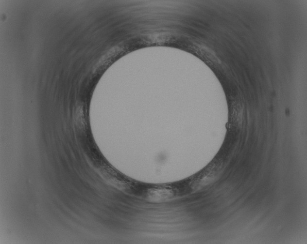 X0000078290220200612011817