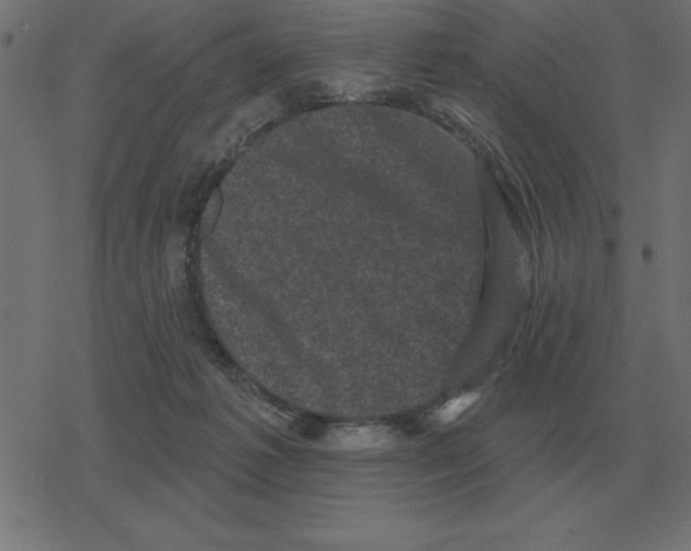 X0000078290221200612011817