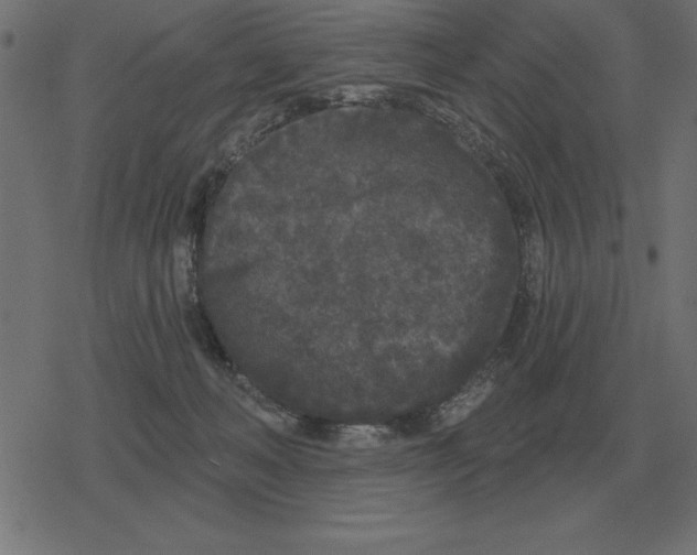 X0000078290222200612011817