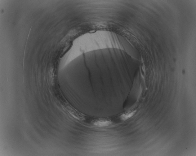 X0000078290223200612011817