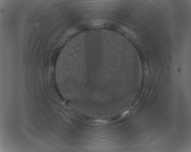 X0000078290225200612011817