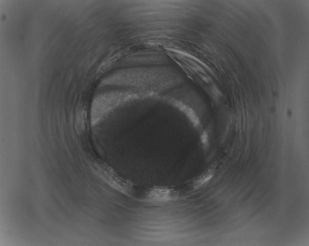 X0000078290227200612011817