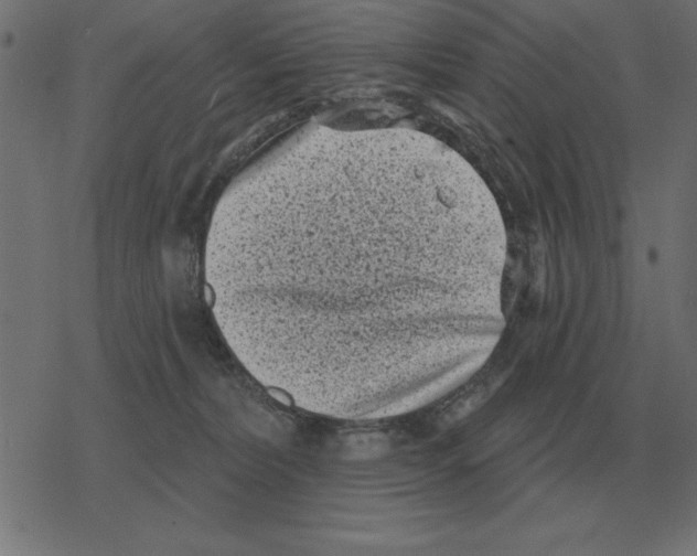 X0000078290228200612011817