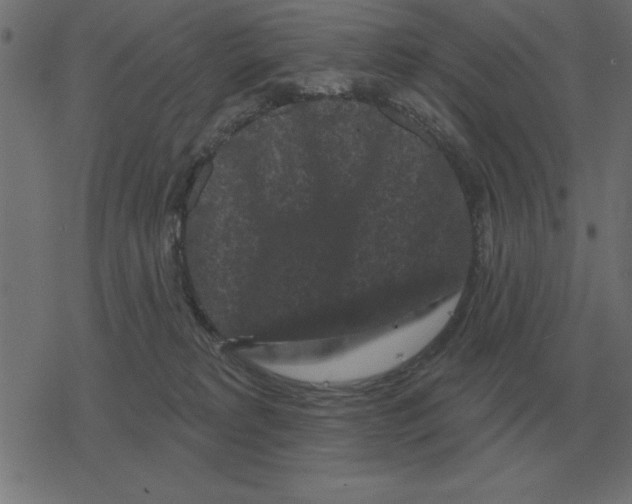 X0000078290229200612011817