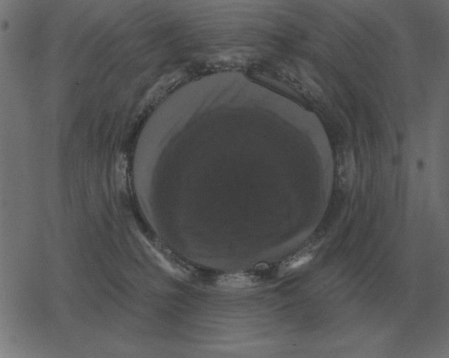 X0000078290231200612011817