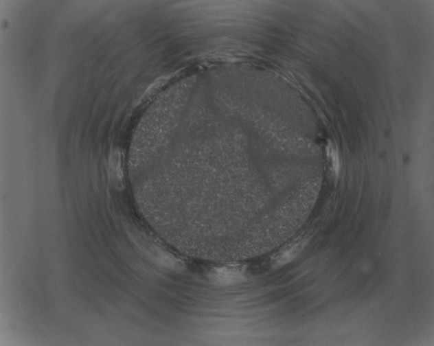 X0000078290232200612011817