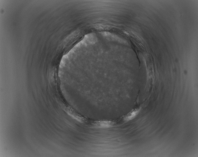 X0000078290233200612011817