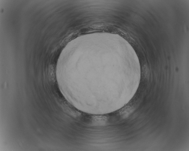 X0000078290234200612011817