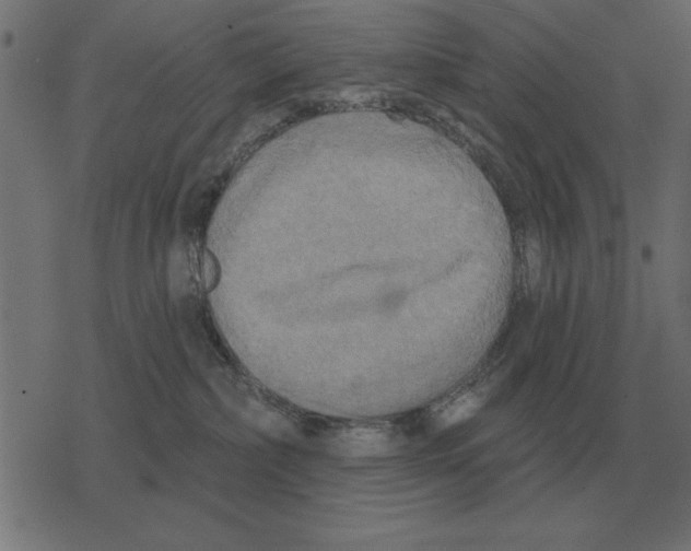 X0000078290236200612011817