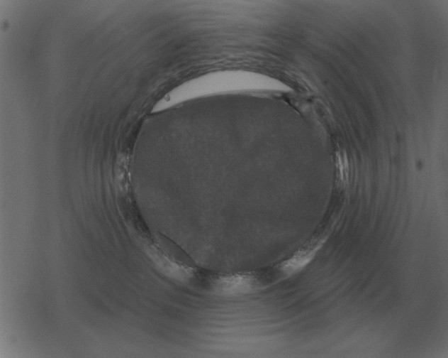 X0000078290237200612011817