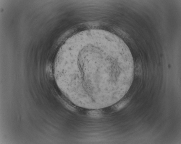 X0000078290238200612011817