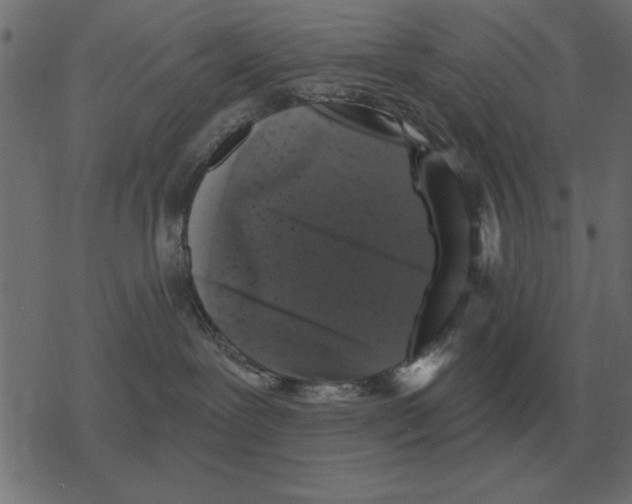 X0000078290239200612011817