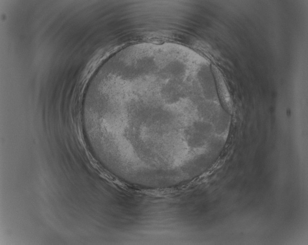 X0000078290241200612011816