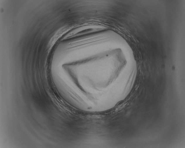 X0000078290242200612011816