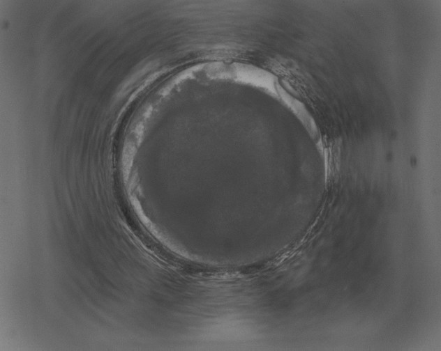 X0000078290243200612011816