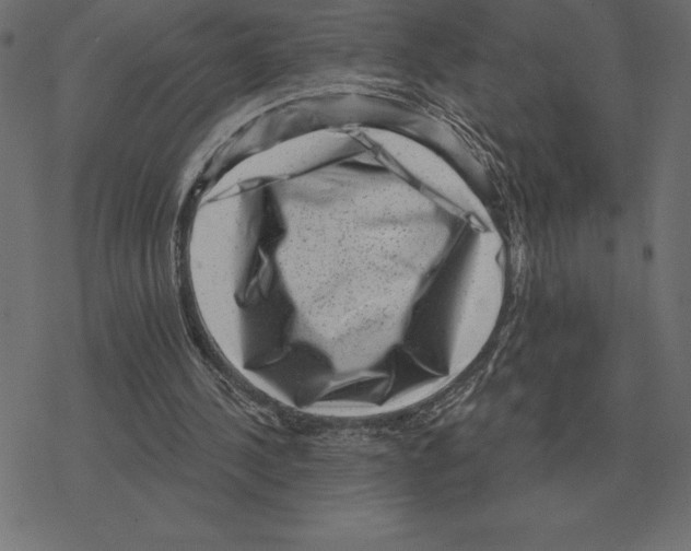 X0000078290244200612011816