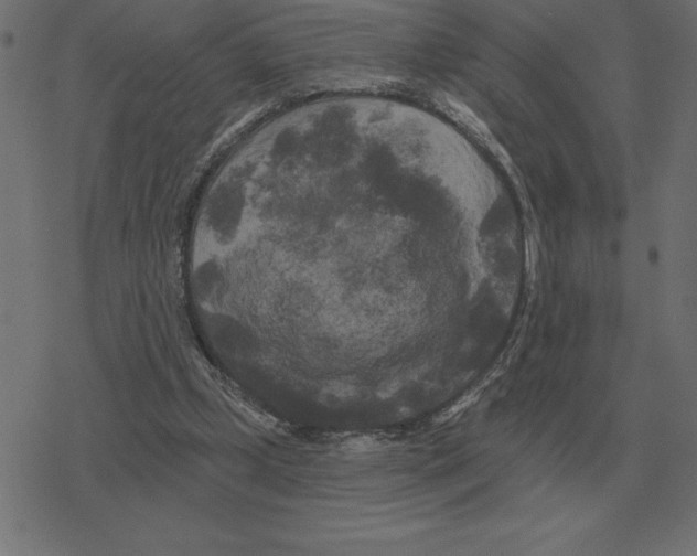 X0000078290249200612011816