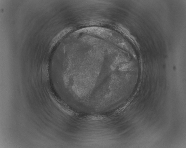 X0000078290250200612011816