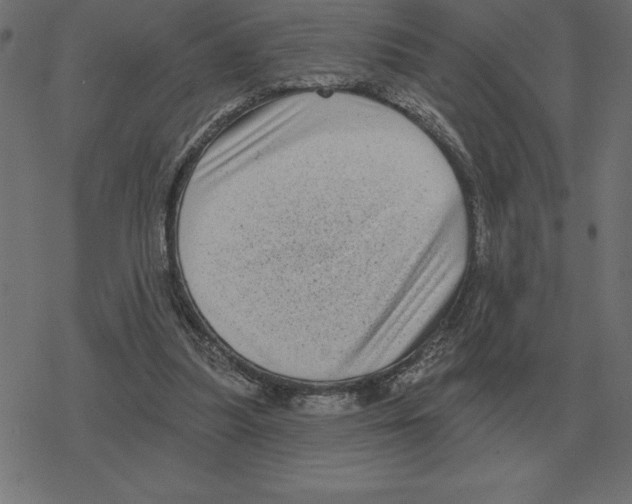 X0000078290251200612011816