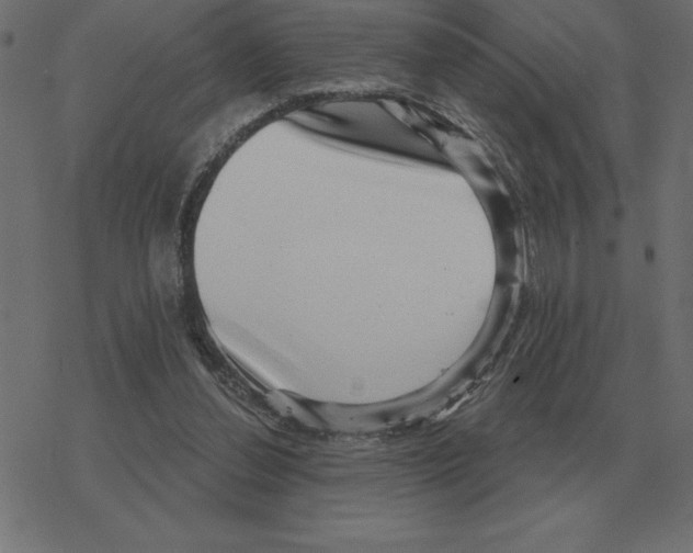 X0000078290252200612011816