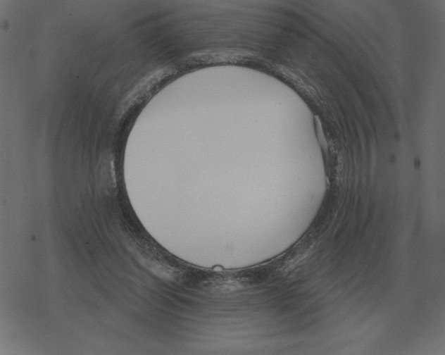 X0000078290254200612011816