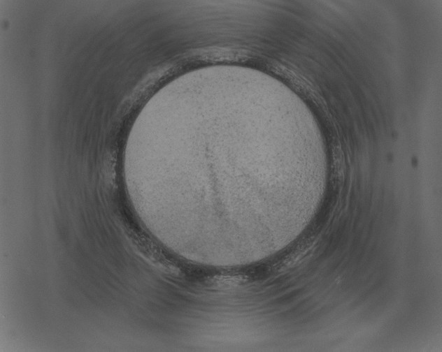 X0000078290255200612011816