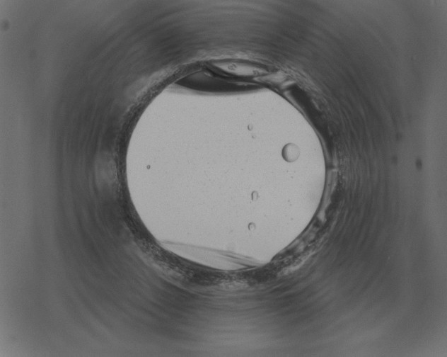 X0000078290256200612011816