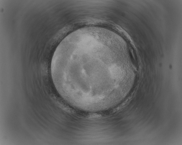 X0000078290257200612011816