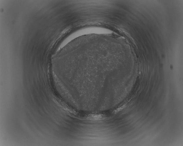 X0000078290260200612011816