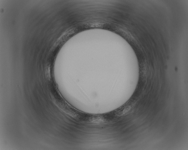 X0000078290262200612011816