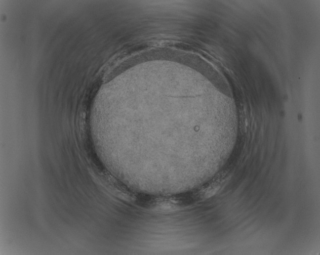 X0000078290263200612011816