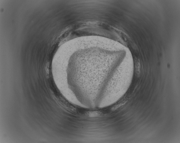 X0000078290264200612011816