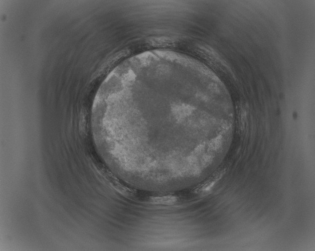 X0000078290266200612011816