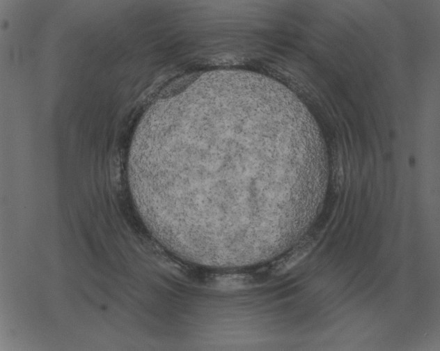 X0000078290268200612011816