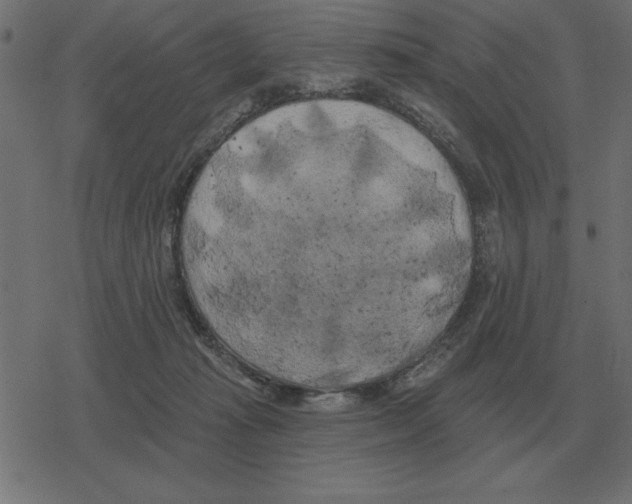 X0000078290269200612011816