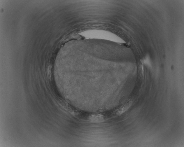 X0000078290271200612011816