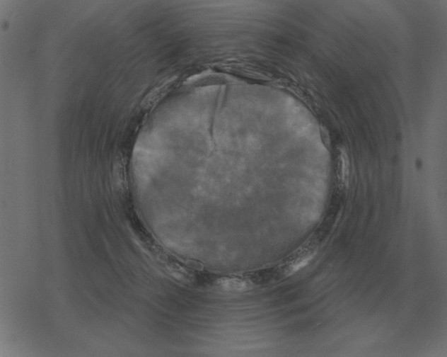 X0000078290272200612011816