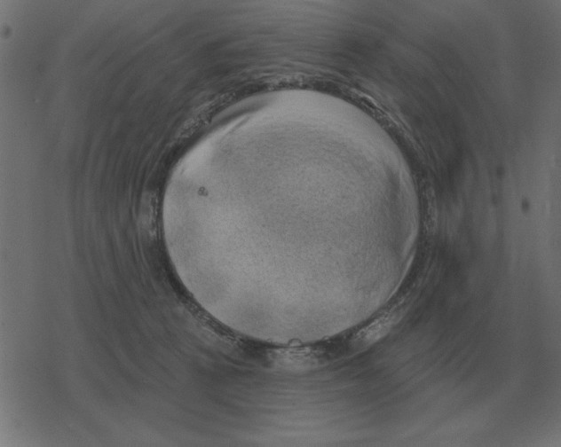 X0000078290273200612011816