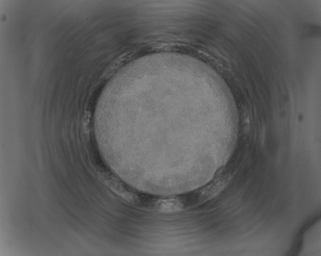 X0000078290275200612011816