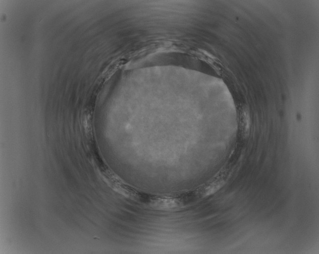 X0000078290276200612011816