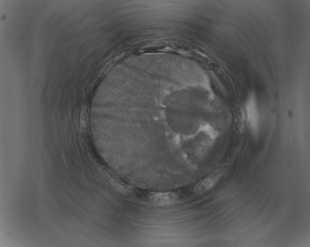 X0000078290277200612011817