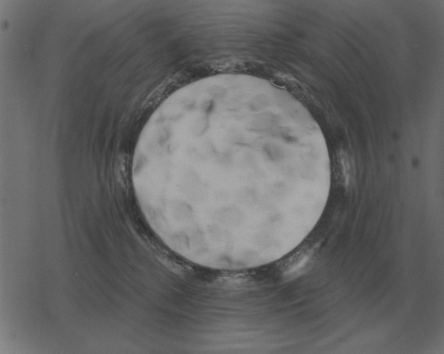 X0000078290280200612011817