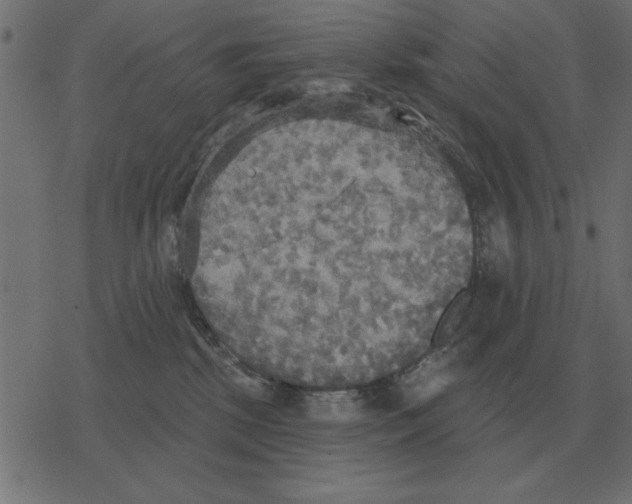 X0000078290281200612011817