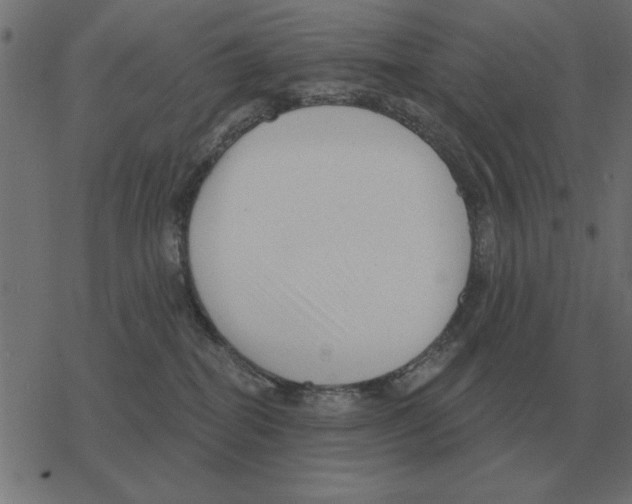 X0000078290282200612011817