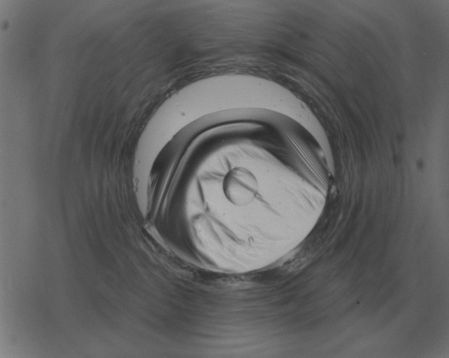 X0000078290284200612011817